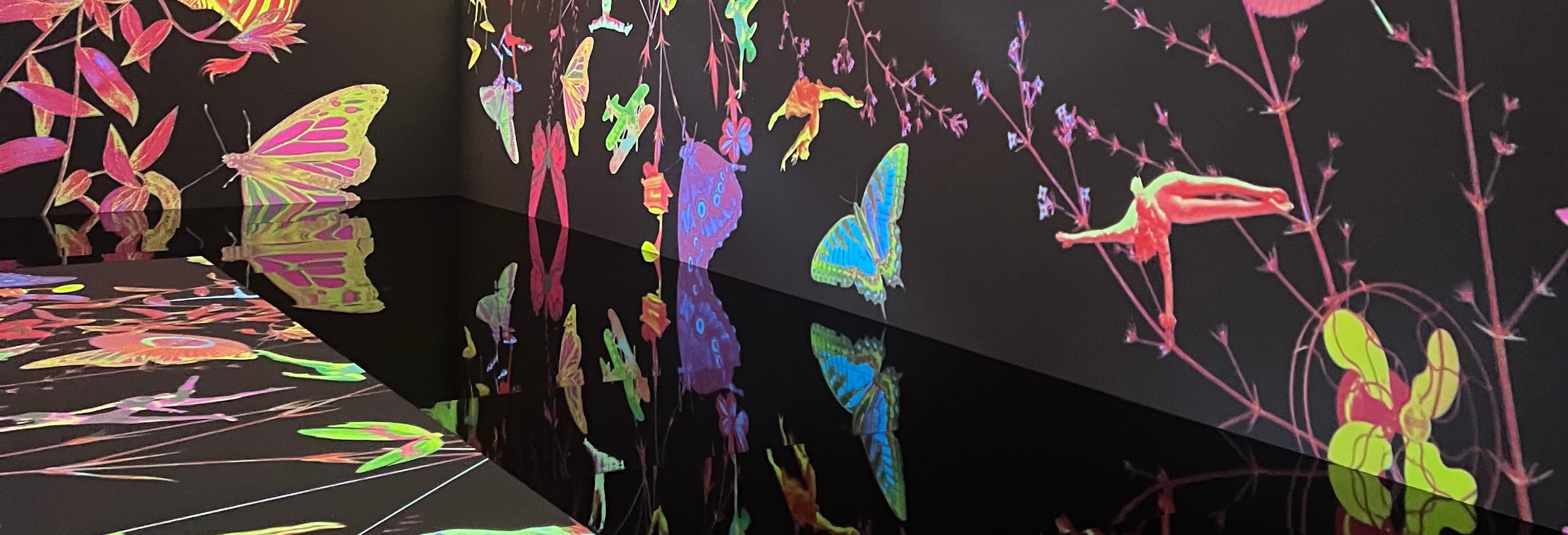 All Aboard! Jacky Tsai Digital Art Experience